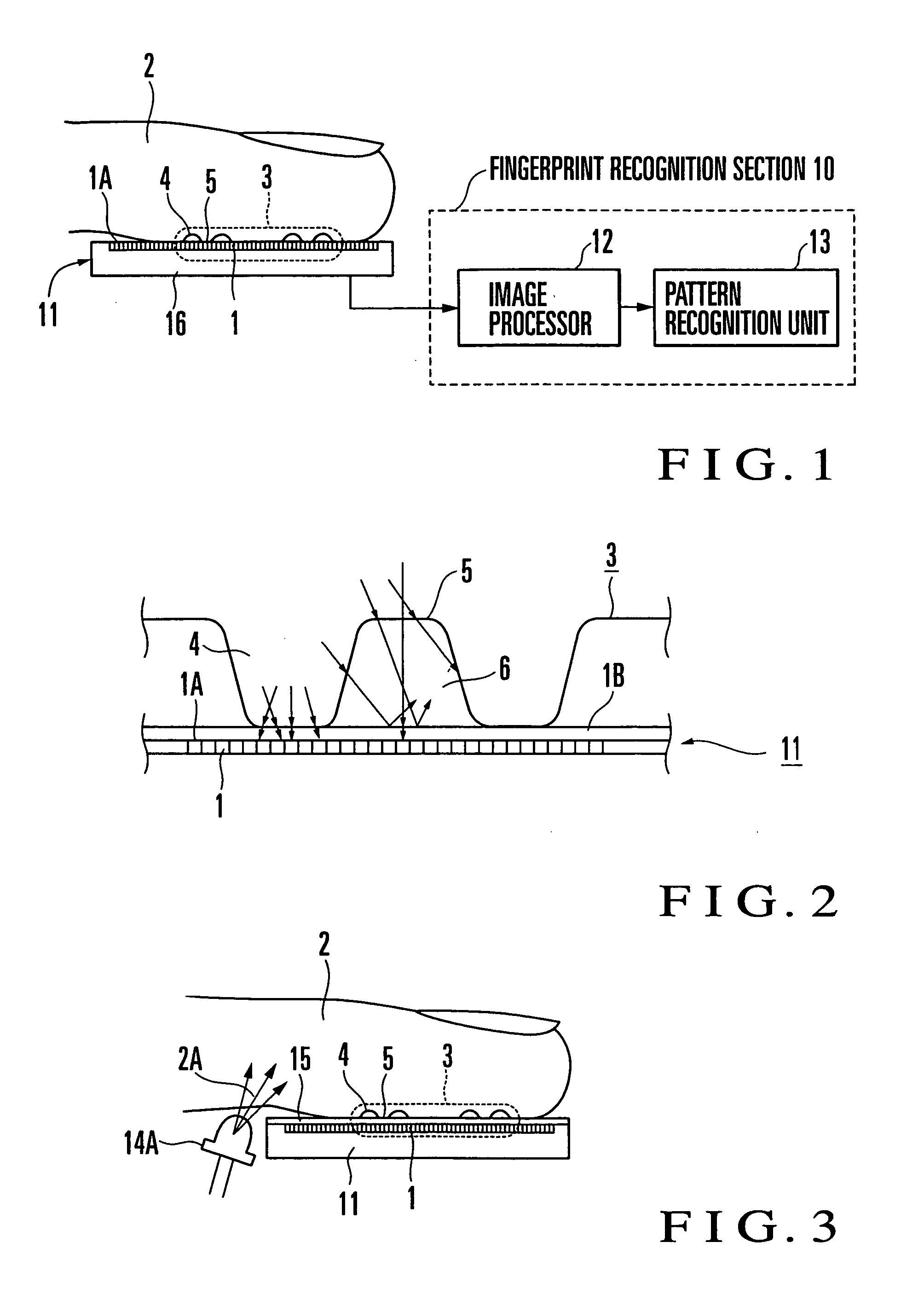 Fingerprint input apparatus