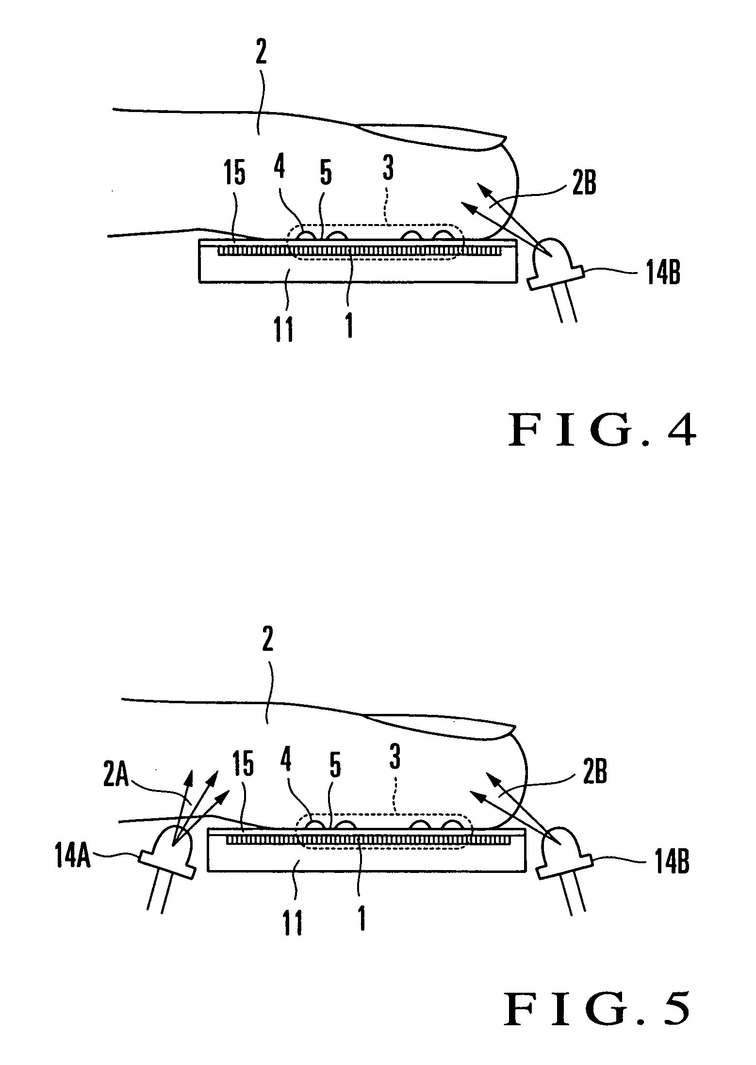 Fingerprint input apparatus