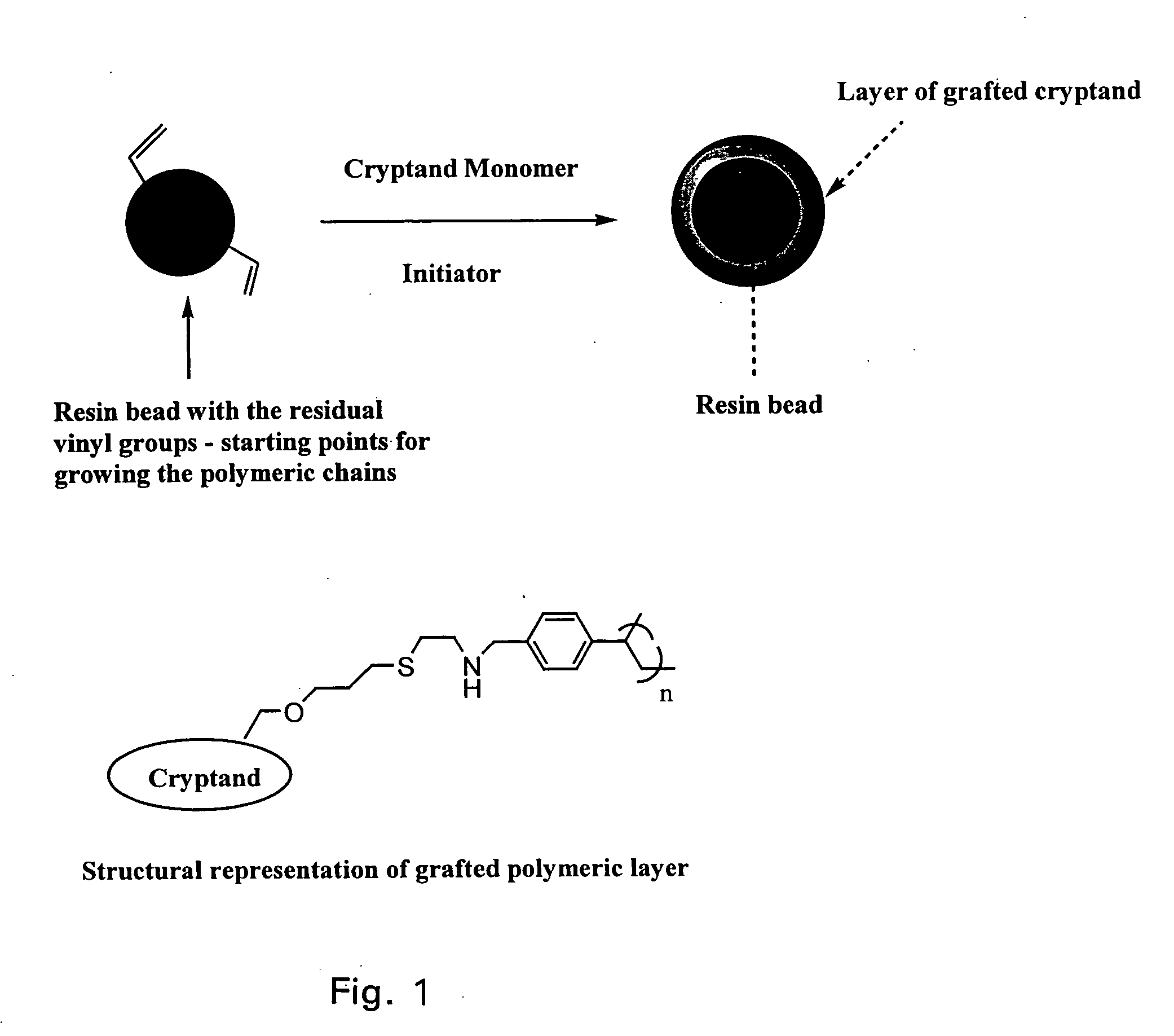 Ion exchange cryptands covalently bound to substrates