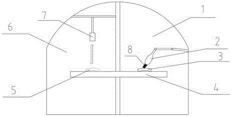 Shaping method for alloy