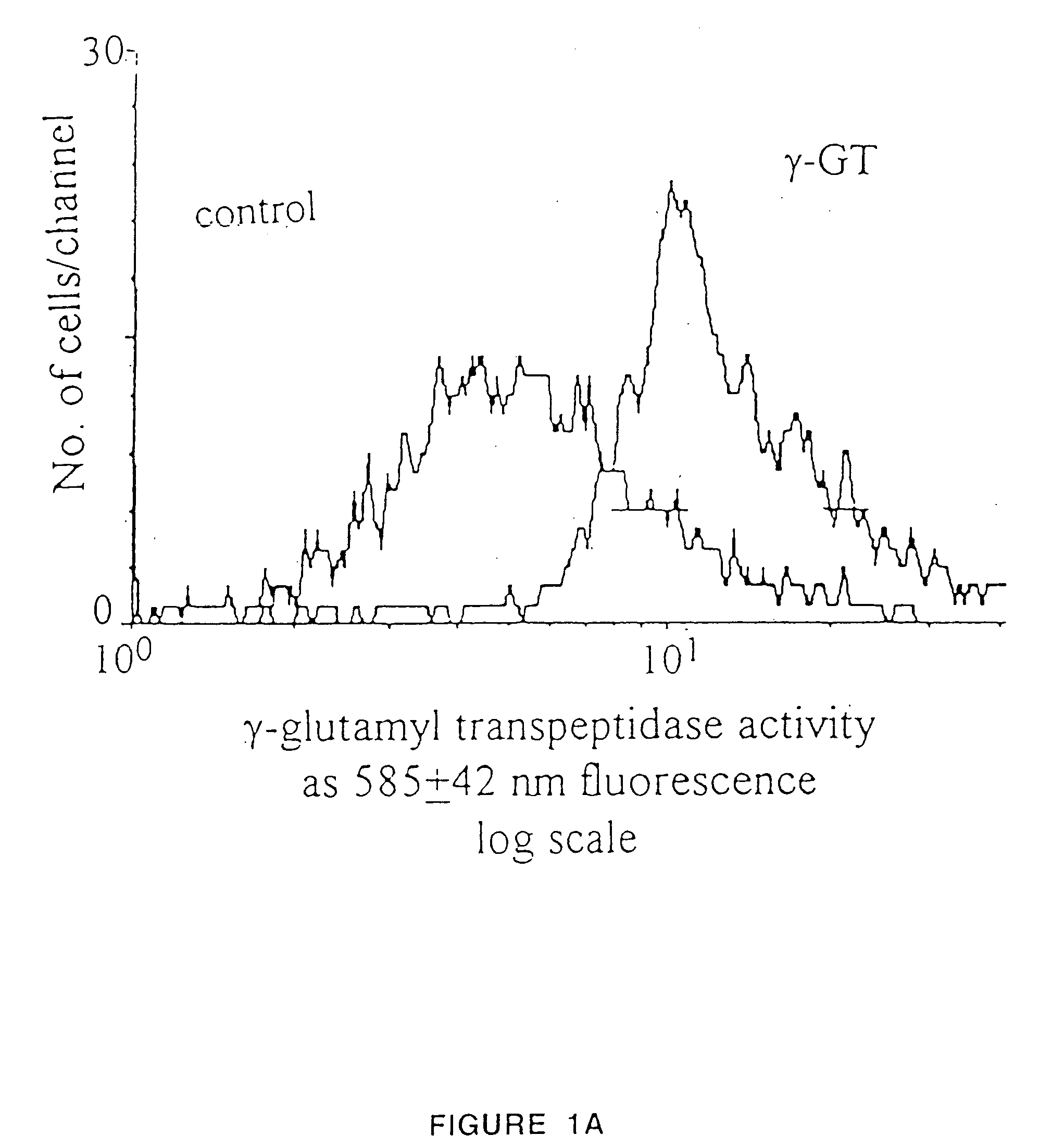 Production of functional proteins: balance of shear stress and gravity