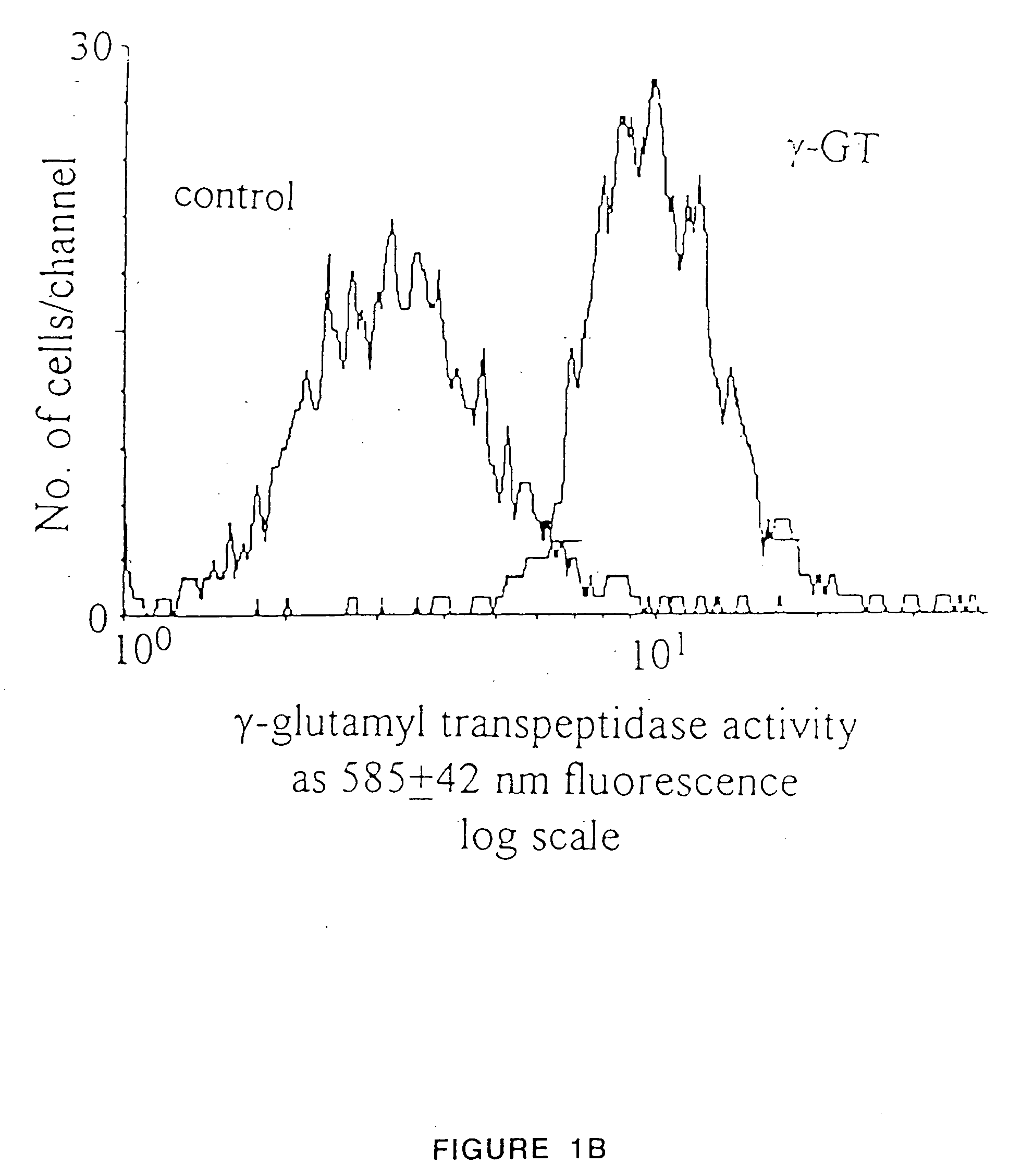 Production of functional proteins: balance of shear stress and gravity