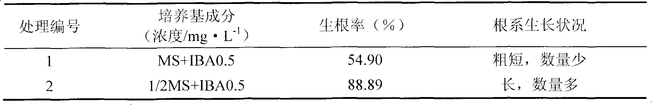 Culture medium for culturing lilium pumilum tissues