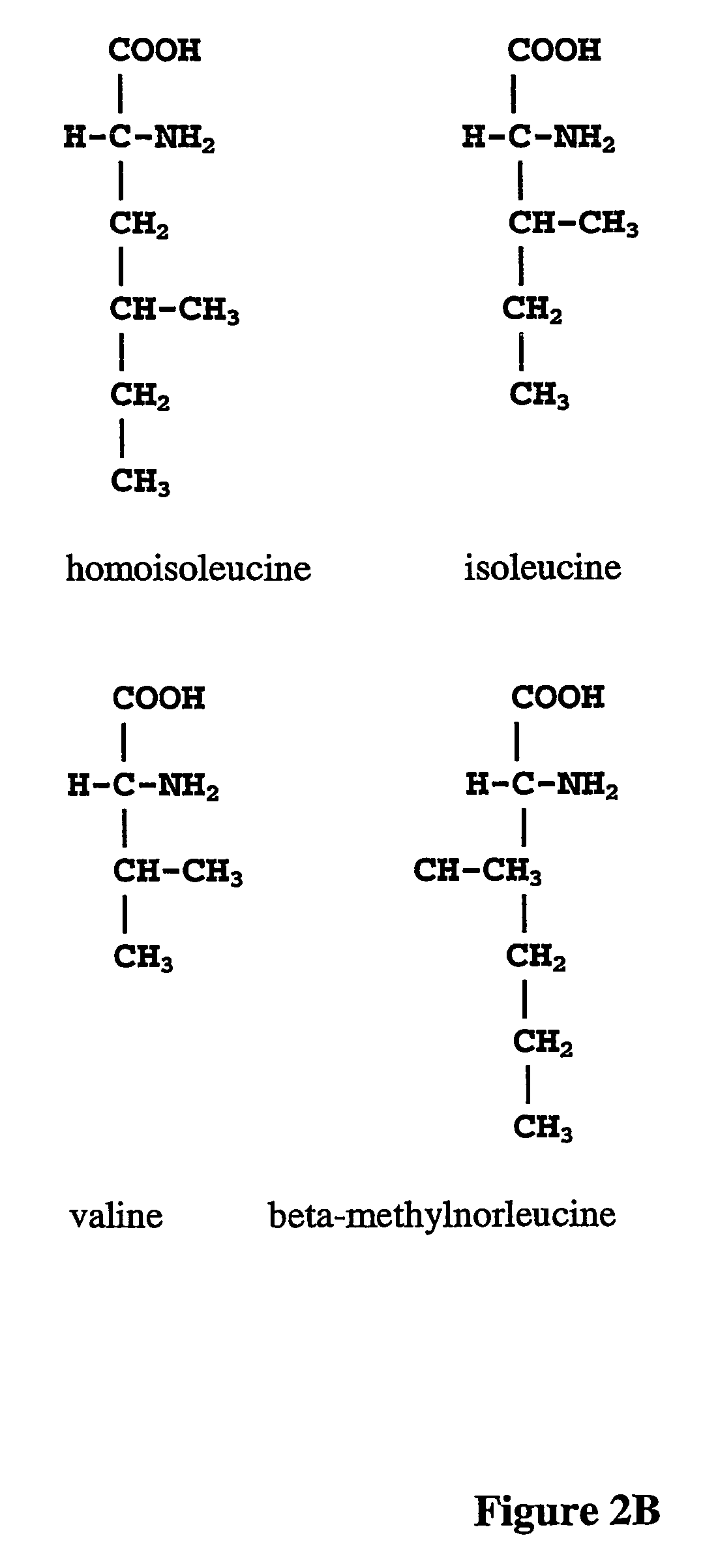 Prevention of incorporation of non-standard amino acids into protein