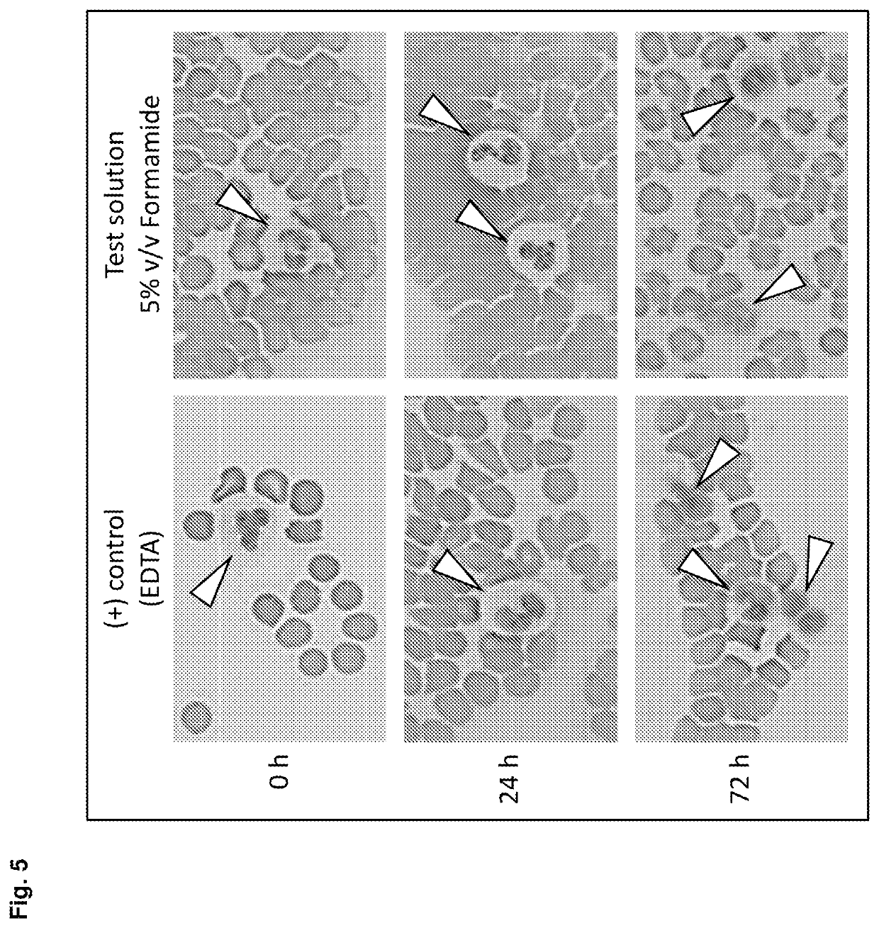 Stabilisation of biological samples