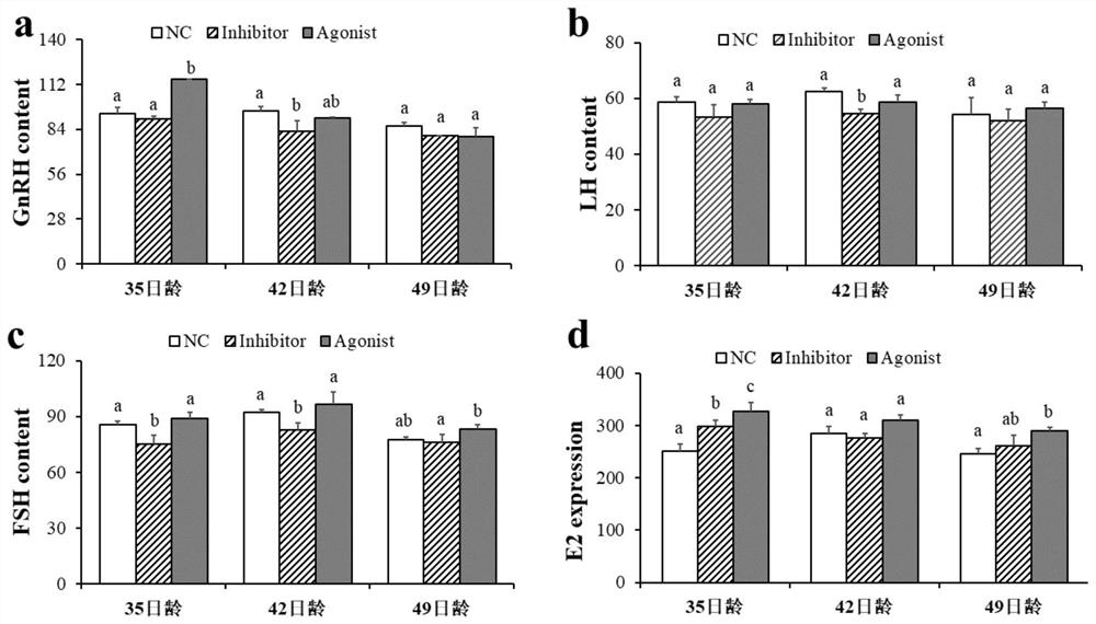 Application of histone methylation H3K4me3 in mouse ovarian development