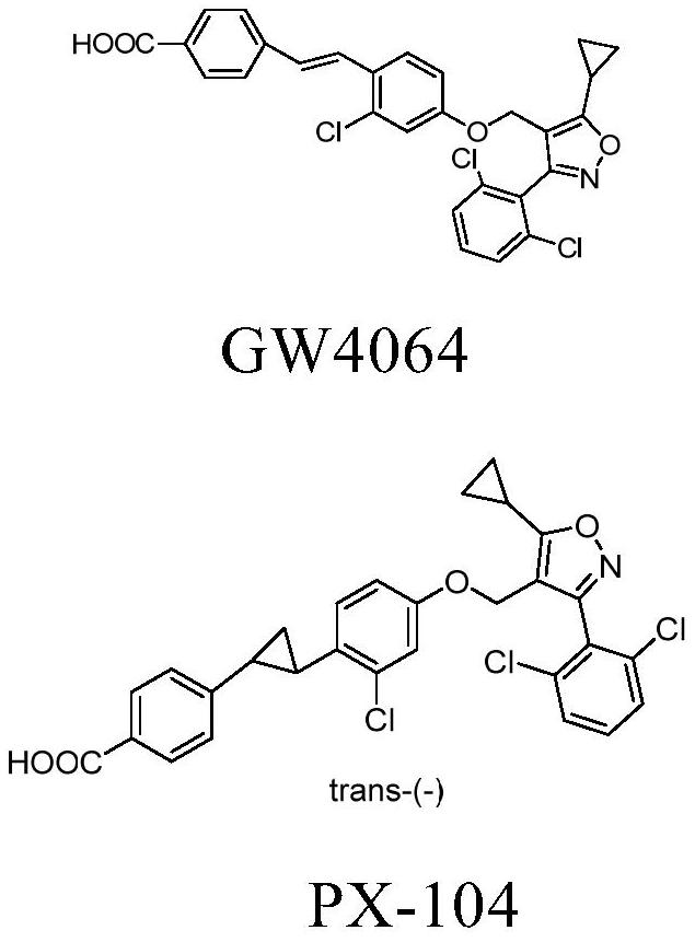 fxr receptor agonist