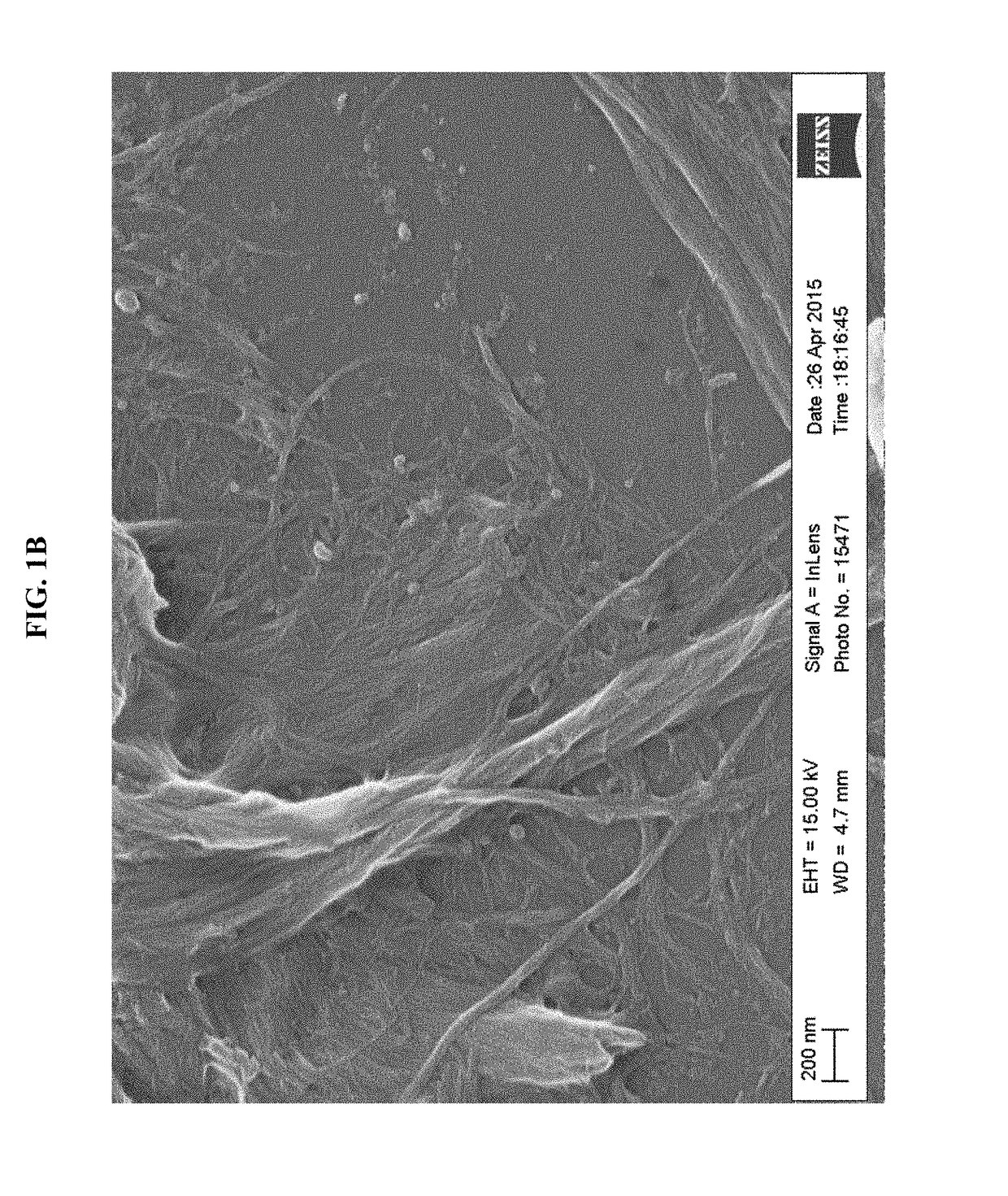 Processes for producing nanocellulose, and nanocellulose compositions produced therefrom