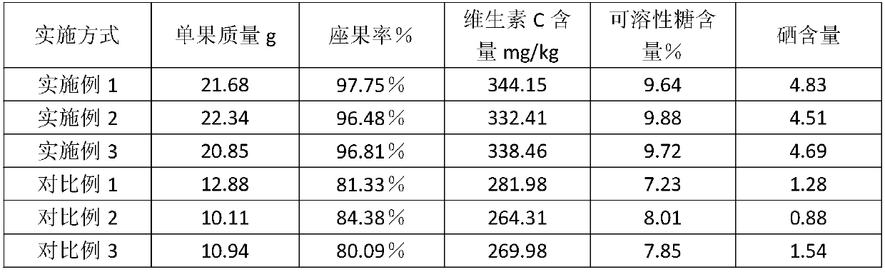 Planting method for selenium-enriched cherry tomatoes