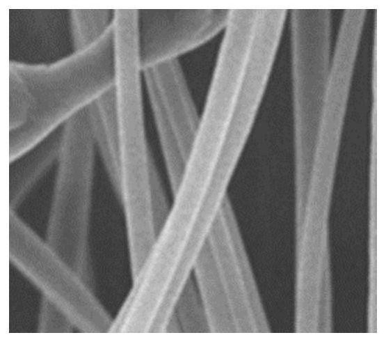 A kind of preparation method of antioxidant fiber additive for vegetable protein meat