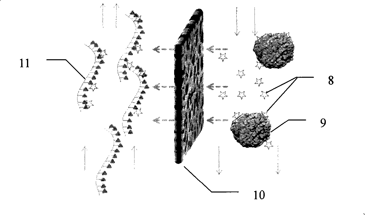 Water-soluble polymer adsorption material coupling cyclodextrin and uses thereof