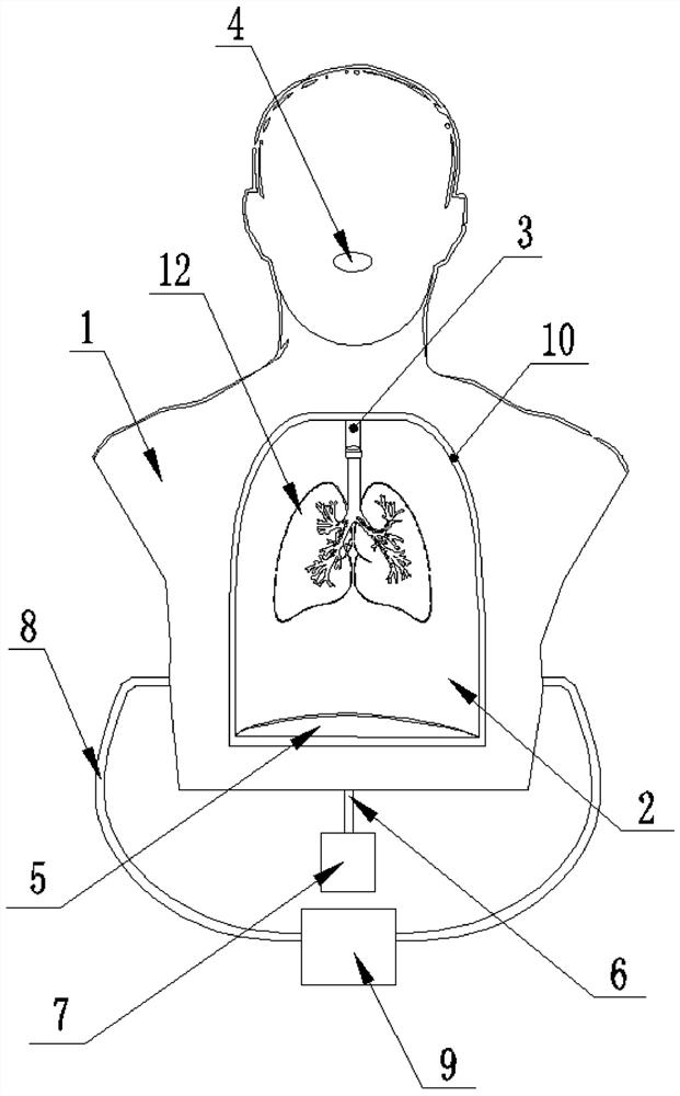 Simulation training platform for thoracic and pulmonary disease diagnosis and treatment teaching training