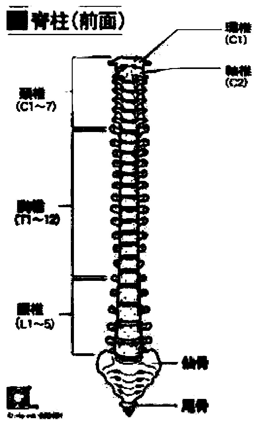 Automatic adjusting method of bed and intelligent control bed