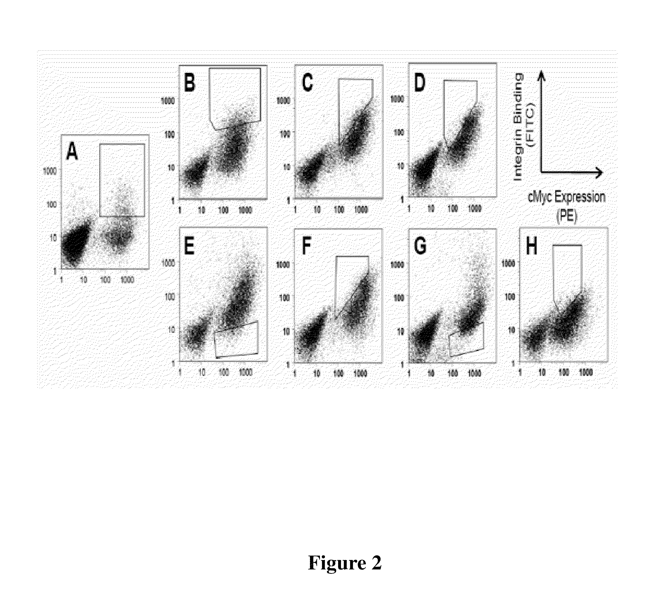 Cystine knot peptides binding to alpha IIb beta 3 integrins and methods of use