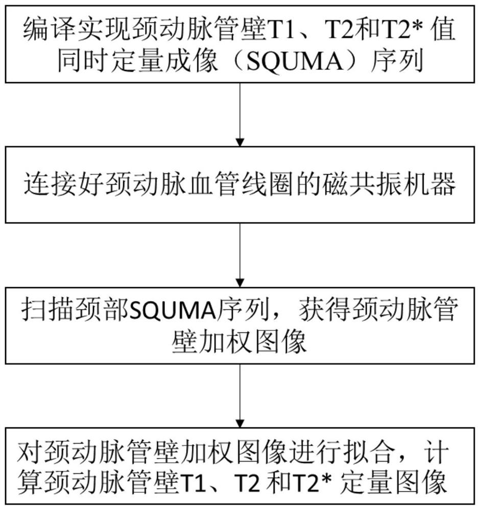 Magnetic resonance single-sequence multi-parameter quantitative imaging system for identifying carotid plaques