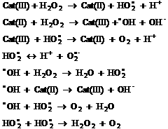 Method and device for heterogeneously catalyzing oxidation of COD in wastewater by using hydrogen peroxide