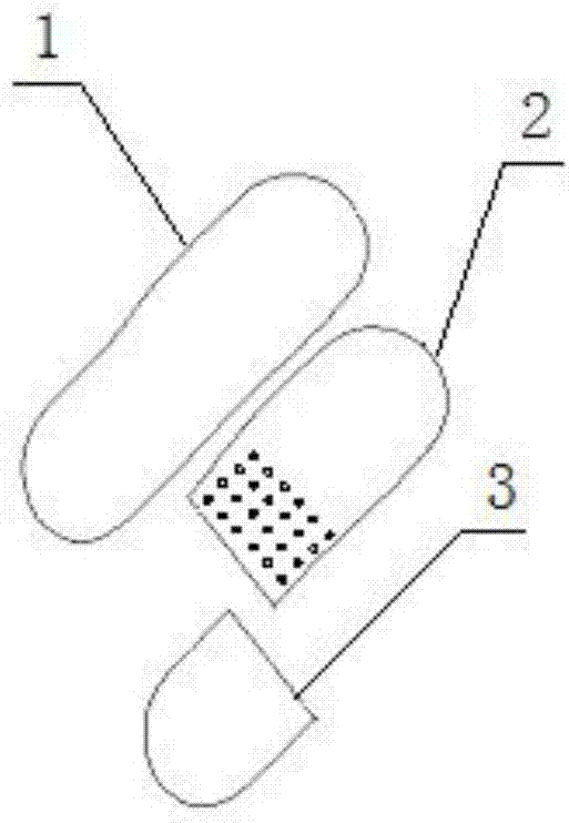 Damping insole applicable to low-frequency whole-body vibration of hydropower station