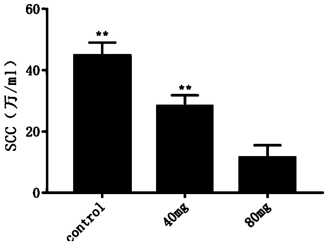 Application of rumen bypass melatonin in improvement of ruminant rumen microbial flora structure and improvement of milk quality