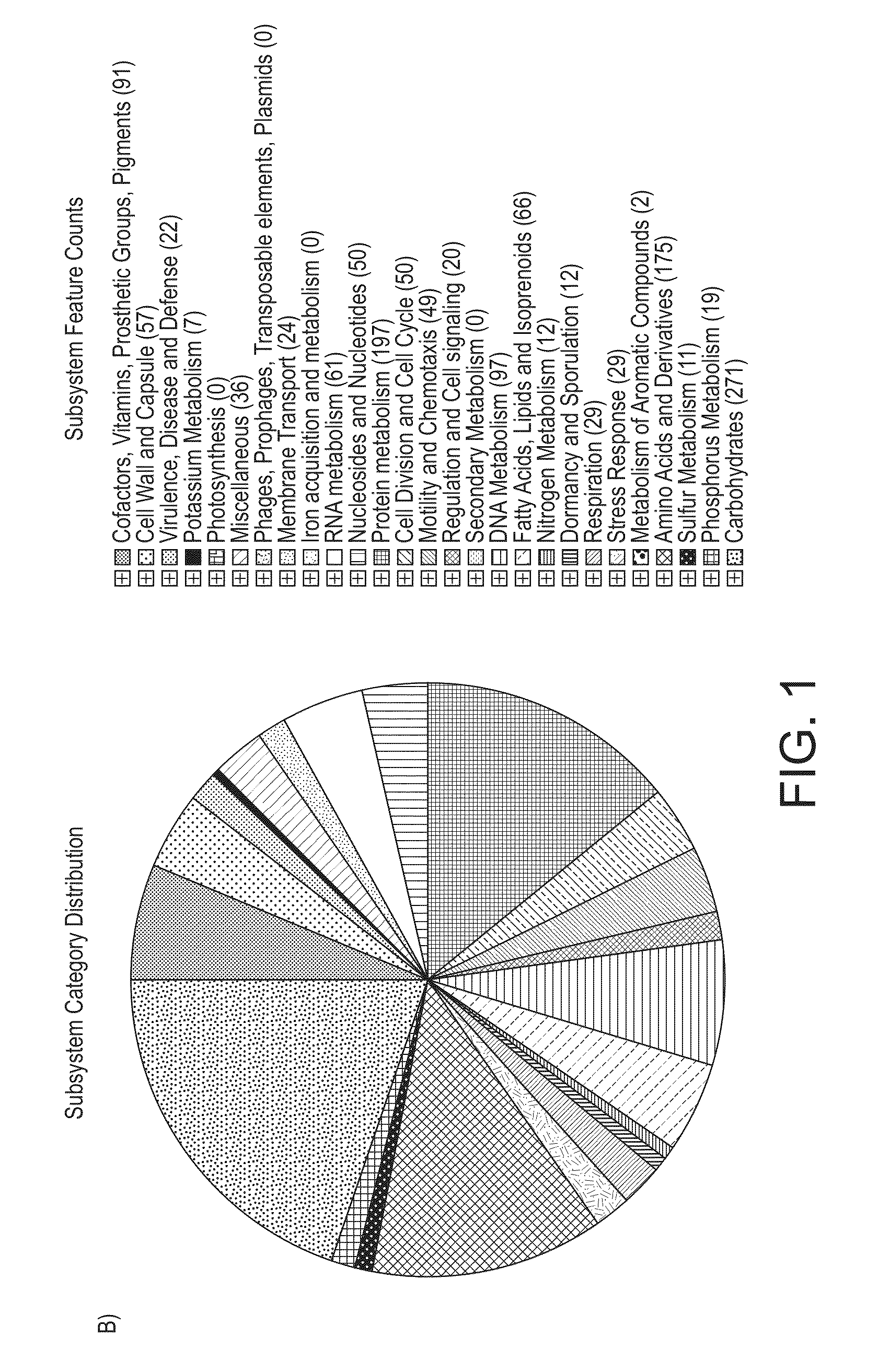 Polypeptide and immune modulation