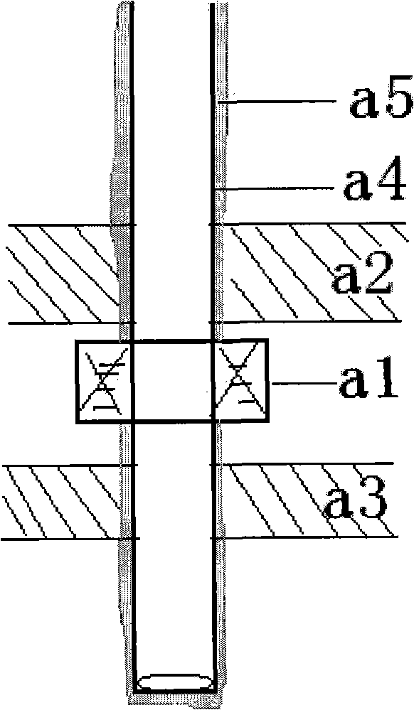 Method for sealing packer outside pipe with cement paste to auxiliary cement well