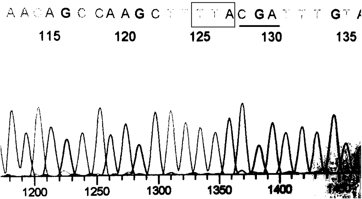 Fusion expression method for green fluorescent protein