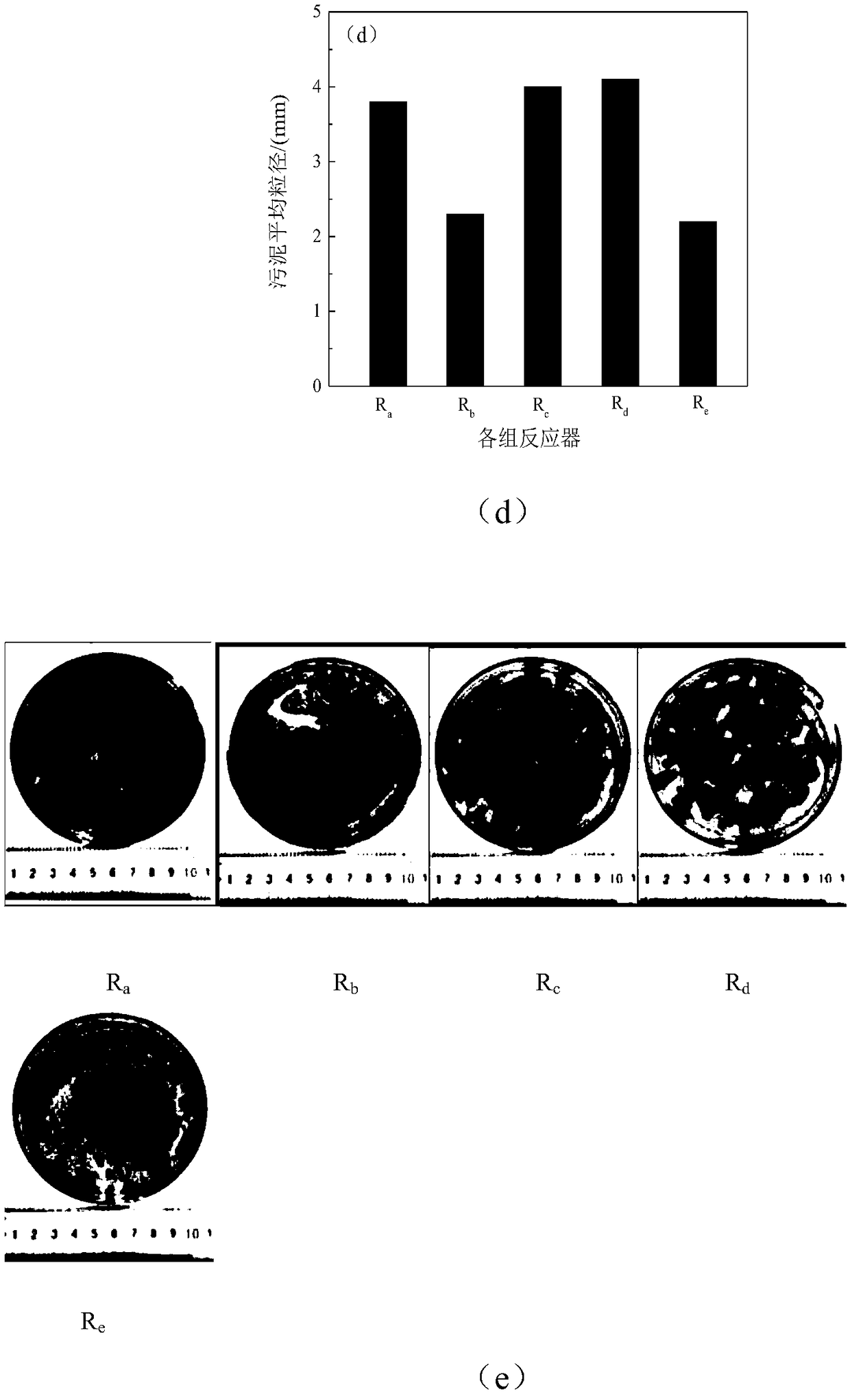 Method for controlling anaerobic ammonia oxidized granular sludge in high-load reactor to float