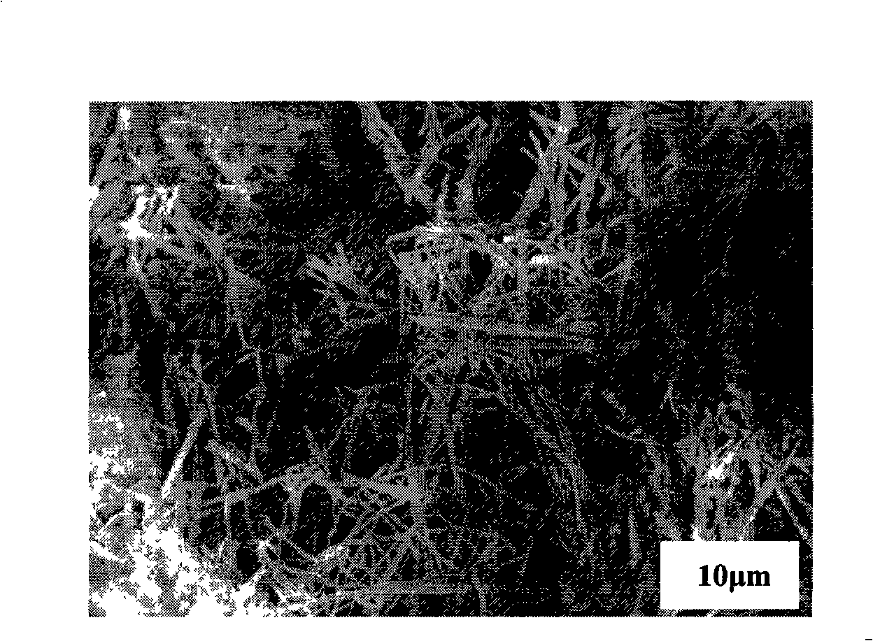 Method for preparing conductive fiber reinforced concrete base functional composite material