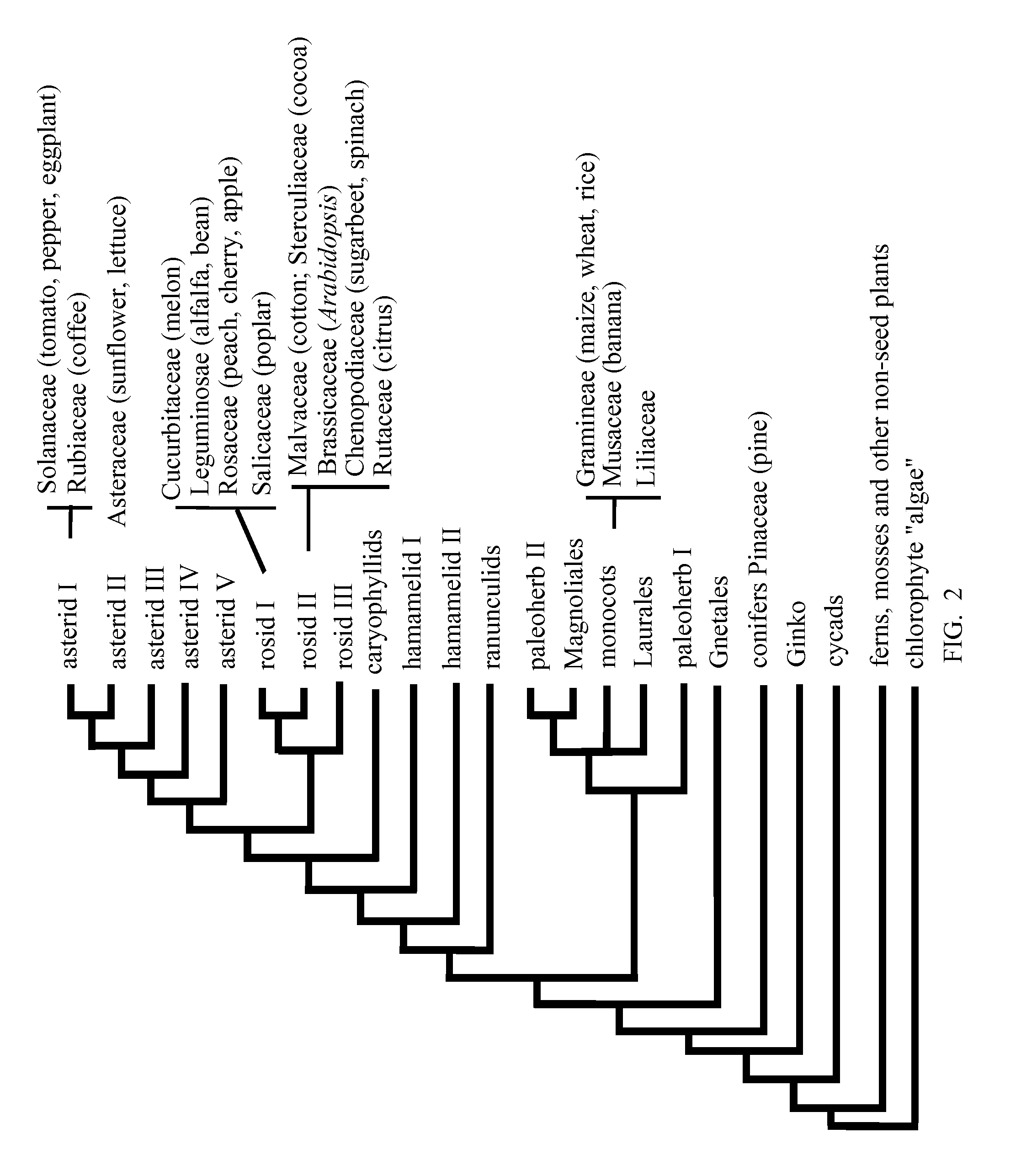 Enhancement of plant yield vigor and stress tolerance