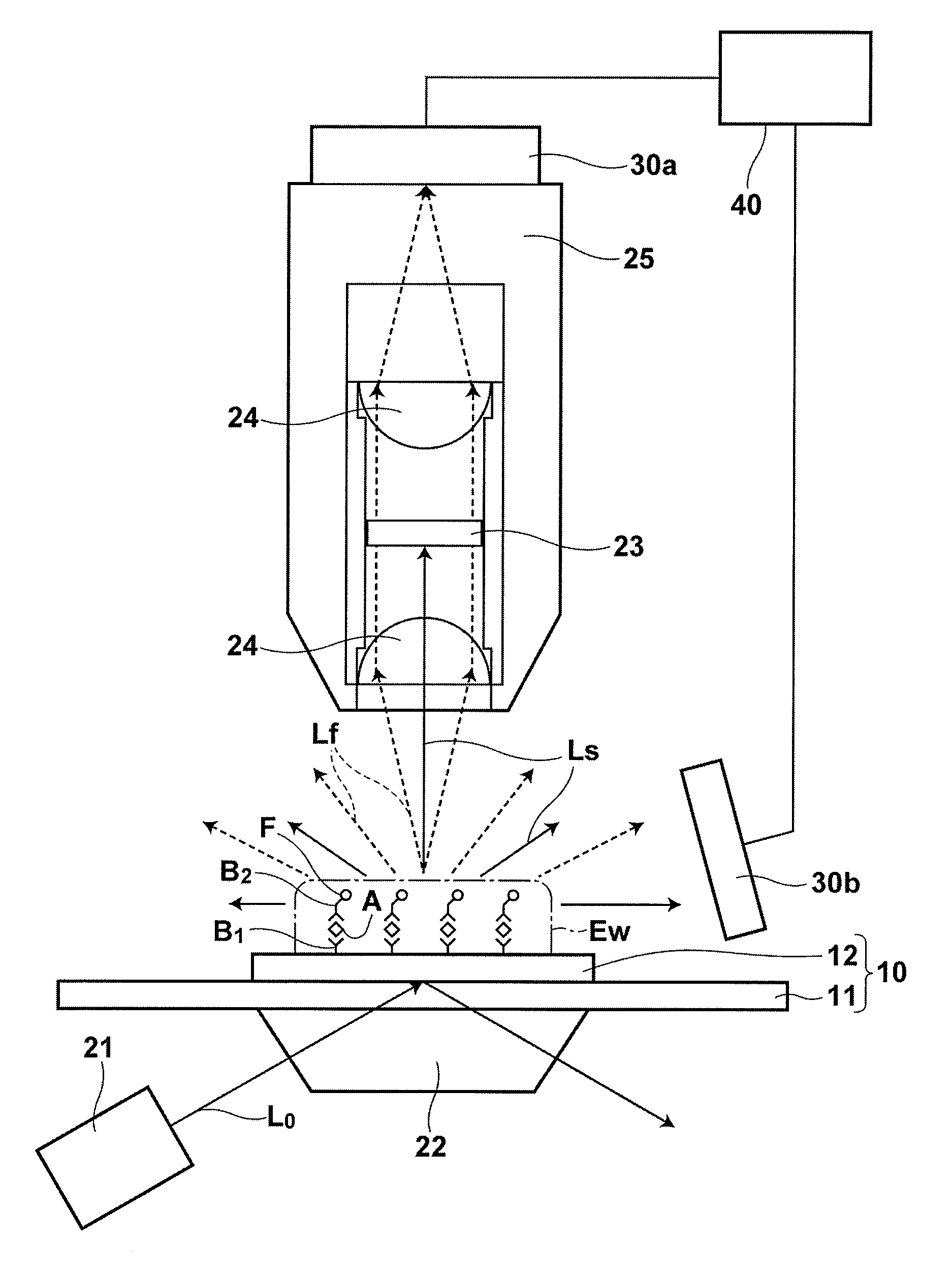 Fluorescence detecting method and fluorescence detecting apparatus