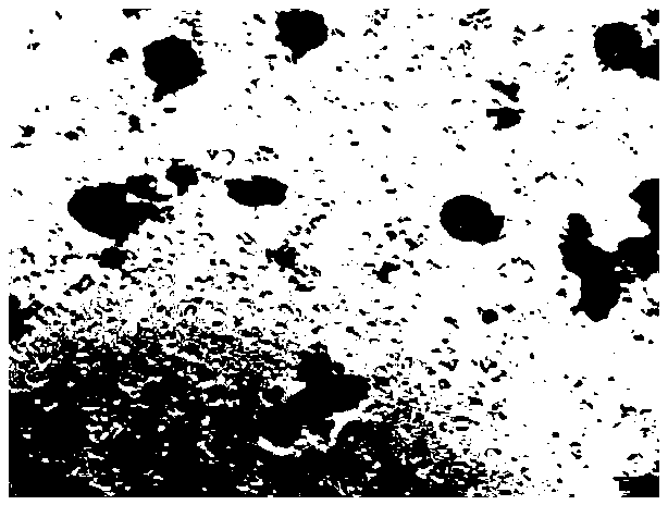 EPA extract and preparation method and application thereof