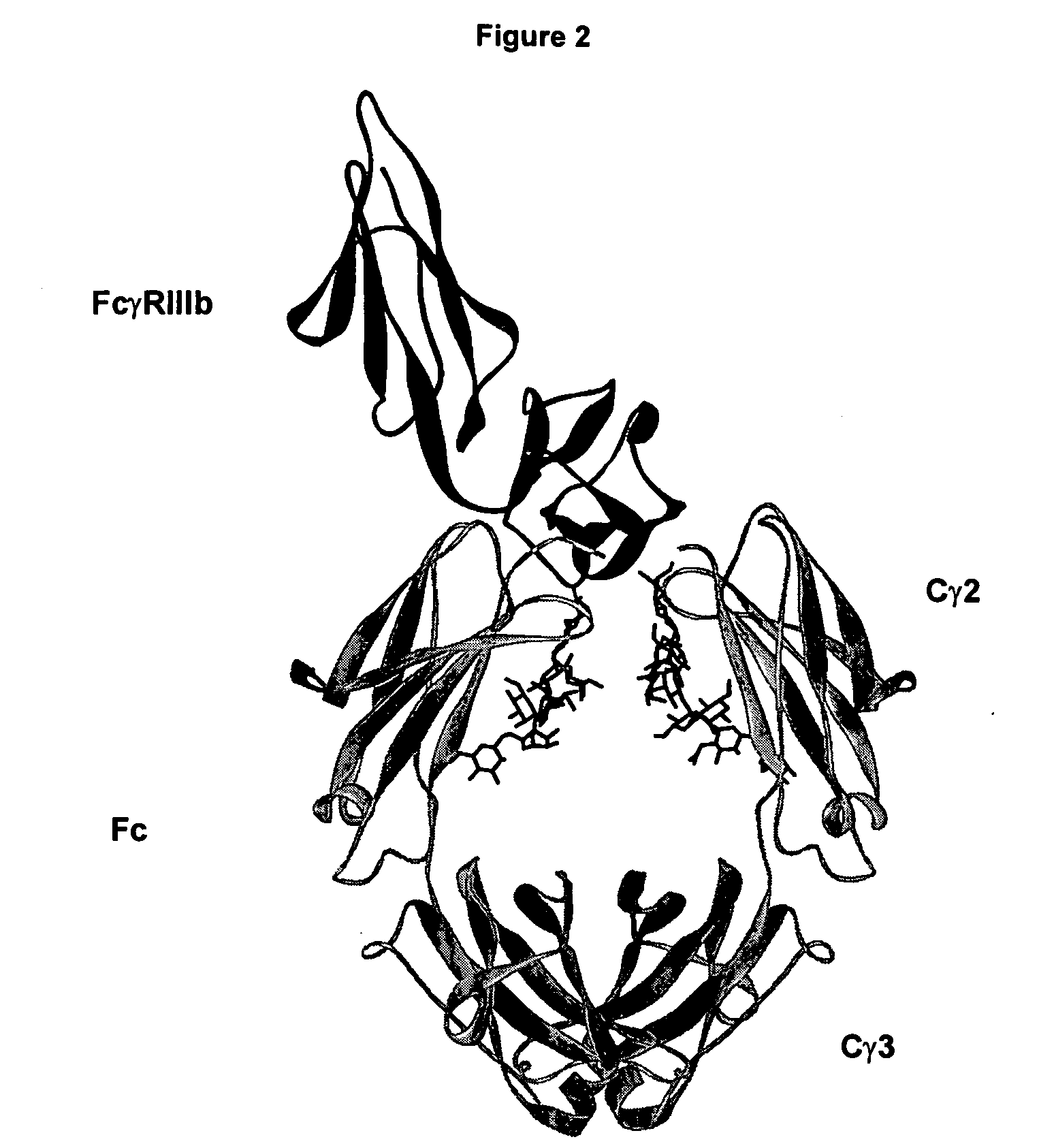 Optimized anti-CD20 monoclonal antibodies having Fc variants