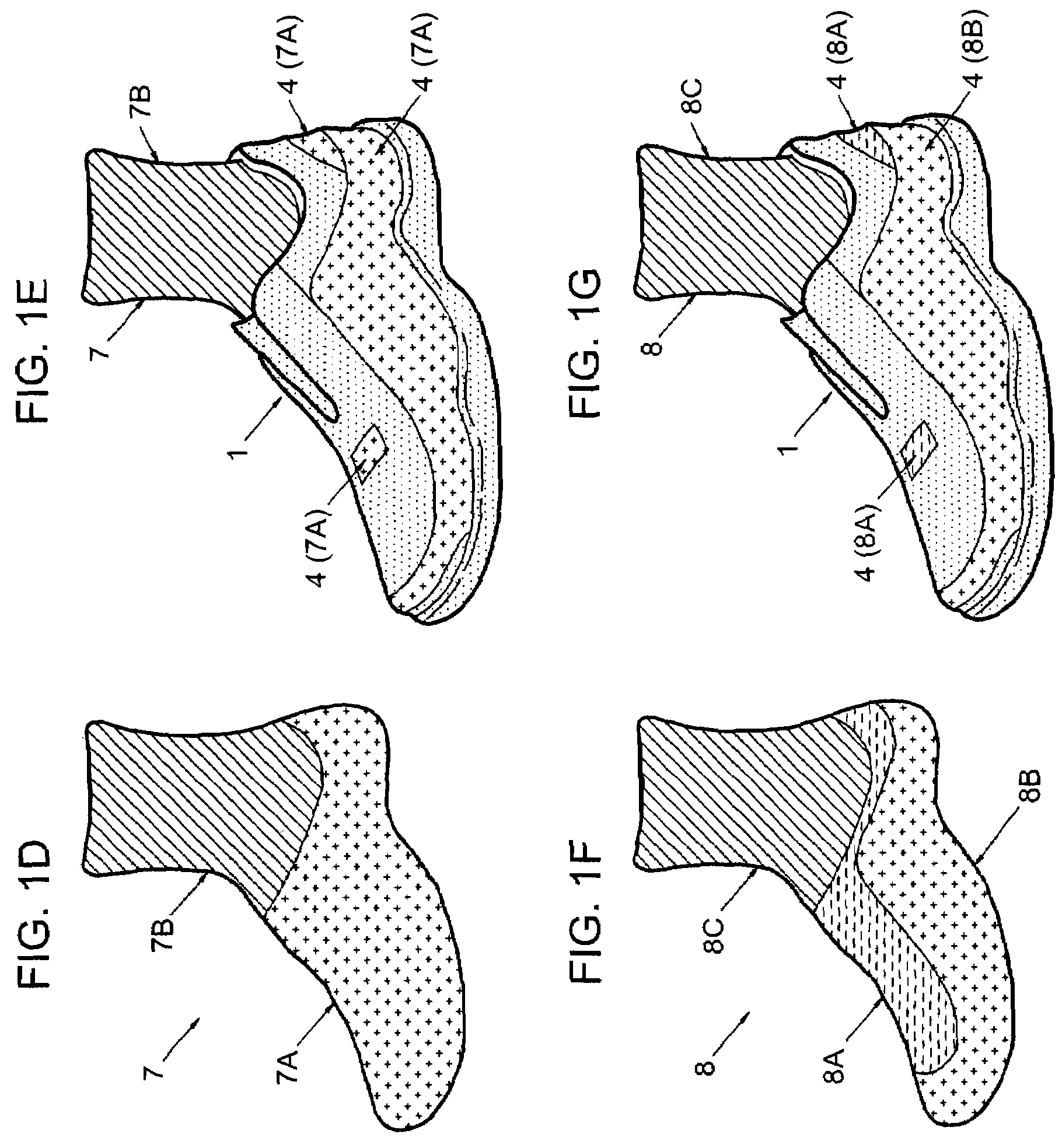 Shoe with transparent panels