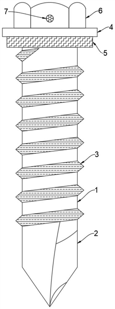 Self-tapping screw with lubricating function