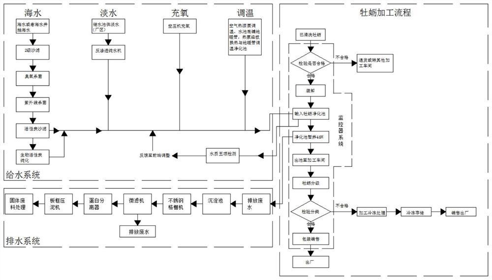 Raw oyster purification process capable of realizing real-time monitoring and multi-element purification