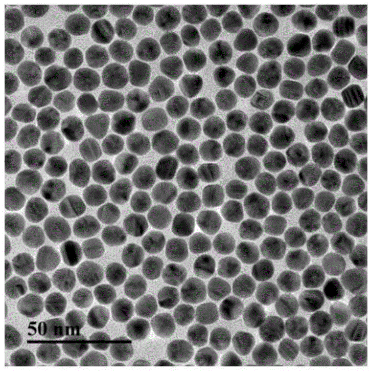 Cold sterilization method based on gold nanoparticles in cooperation with high voltage field plasma