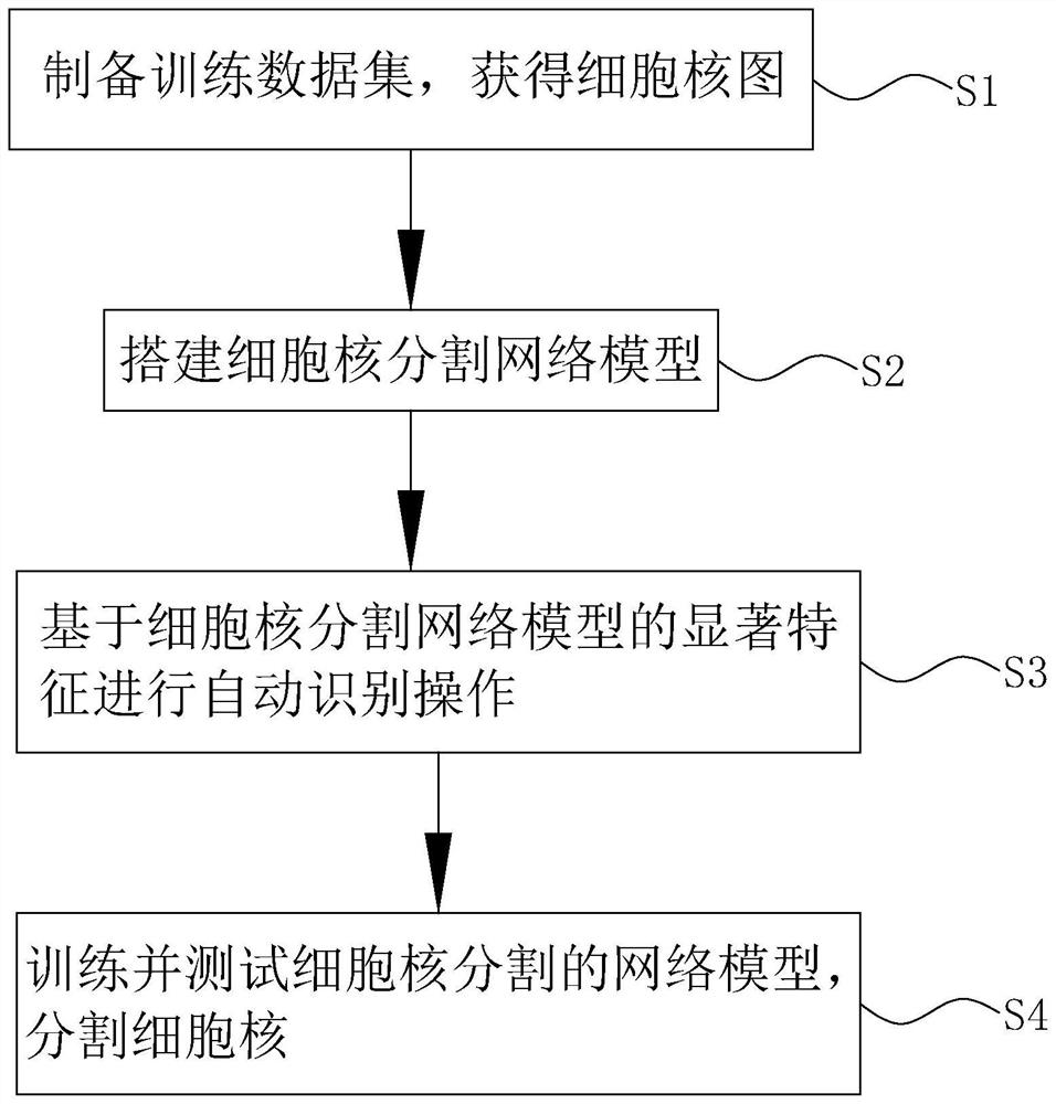 Cell nucleus segmentation method based on region enhancement