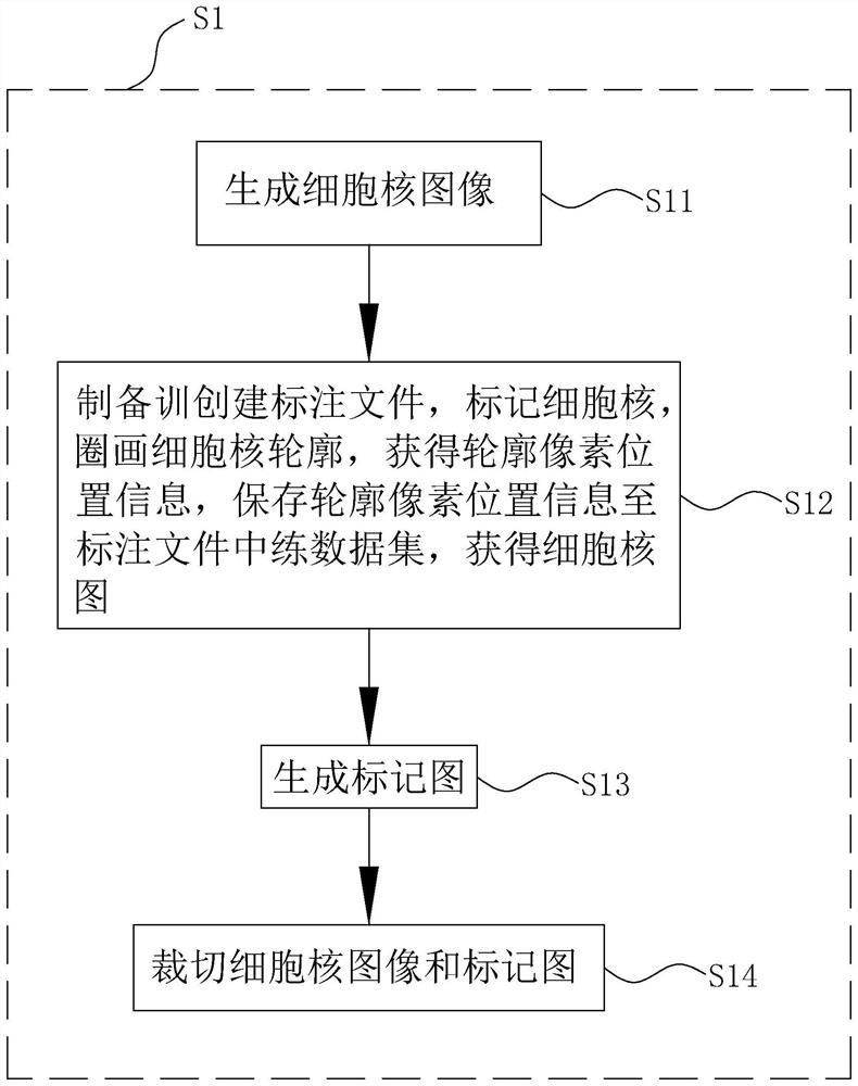 Cell nucleus segmentation method based on region enhancement