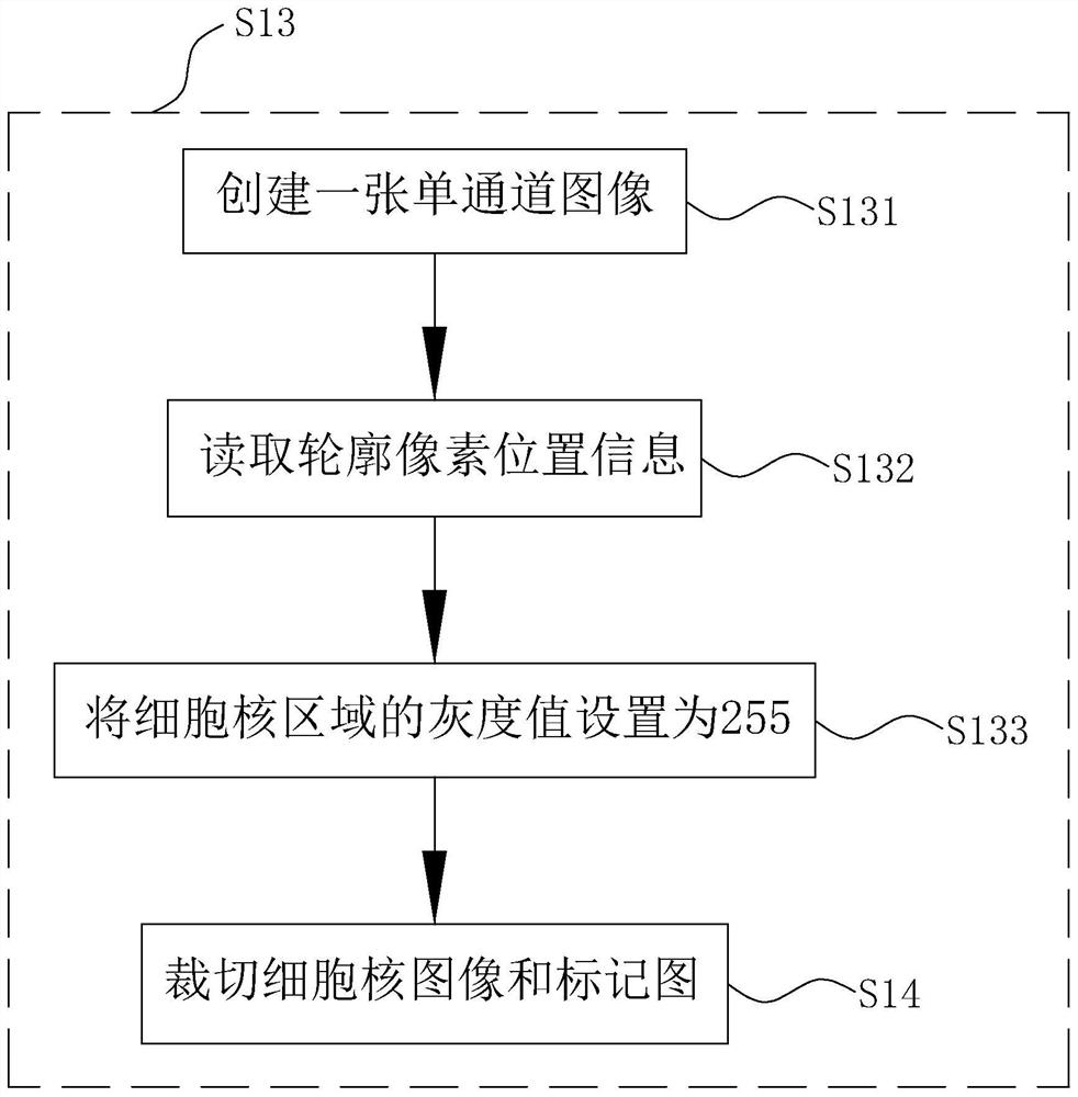 Cell nucleus segmentation method based on region enhancement