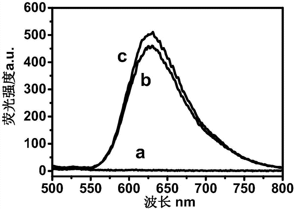 Ruthenium complex and nanometer silver composite hydrotalcite type nanometer material and preparation method and application thereof