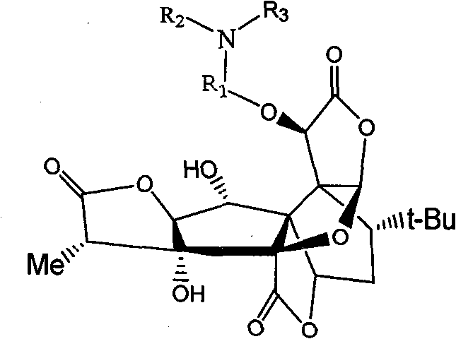 Synthetic technological process of bilobalide B derivates