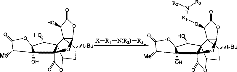 Synthetic technological process of bilobalide B derivates