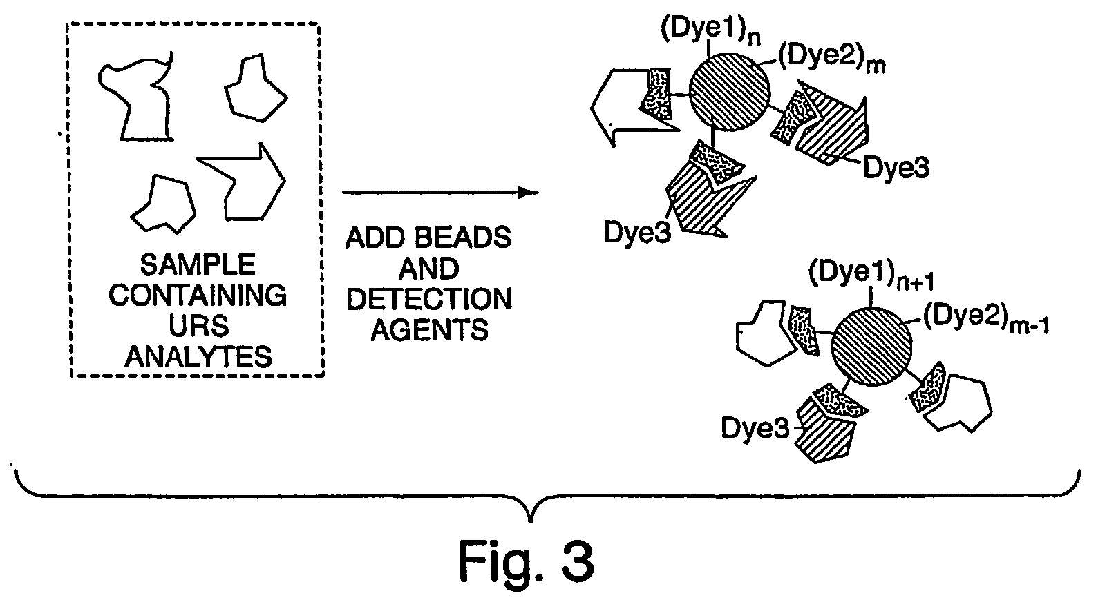 Unique recognition sequences and methods of use thereof in protein analysis