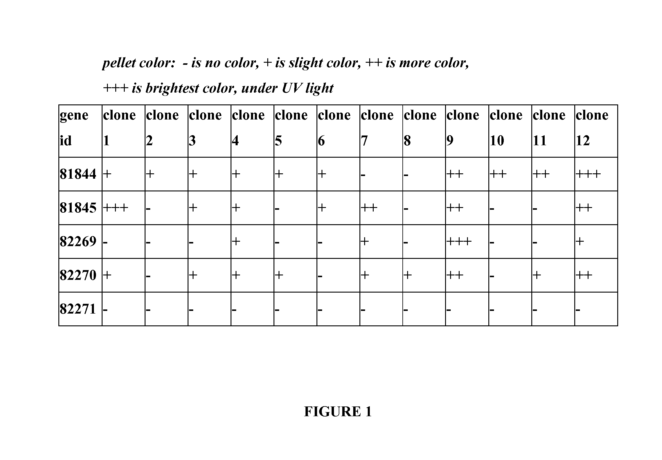 Fluorescent and colored proteins and methods for using them