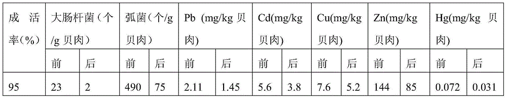 Purification method of cyclina sinensis finished product