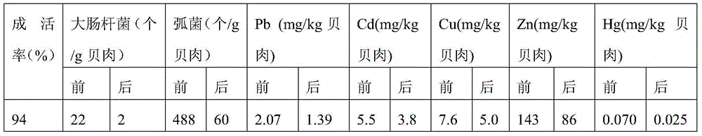 Purification method of cyclina sinensis finished product