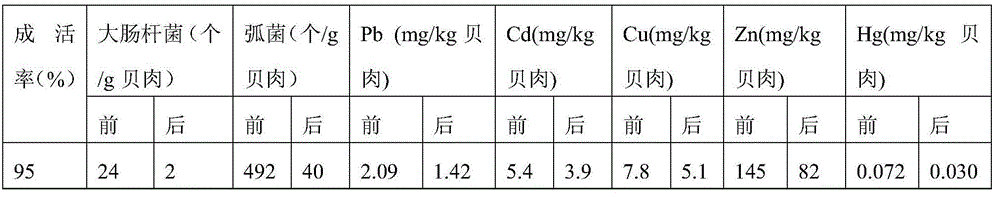 Purification method of cyclina sinensis finished product