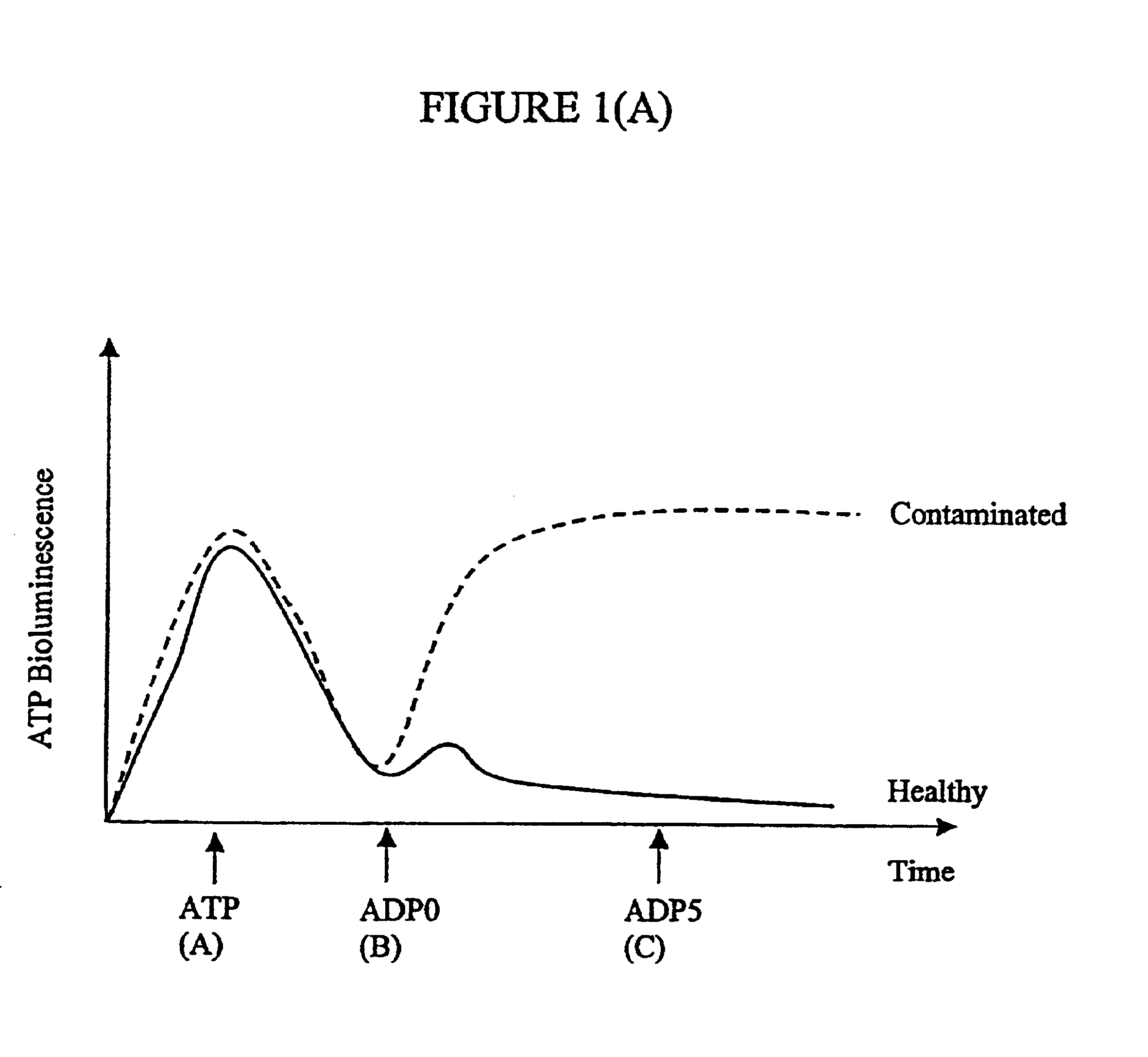 Assay of micro-organisms in cell cultures