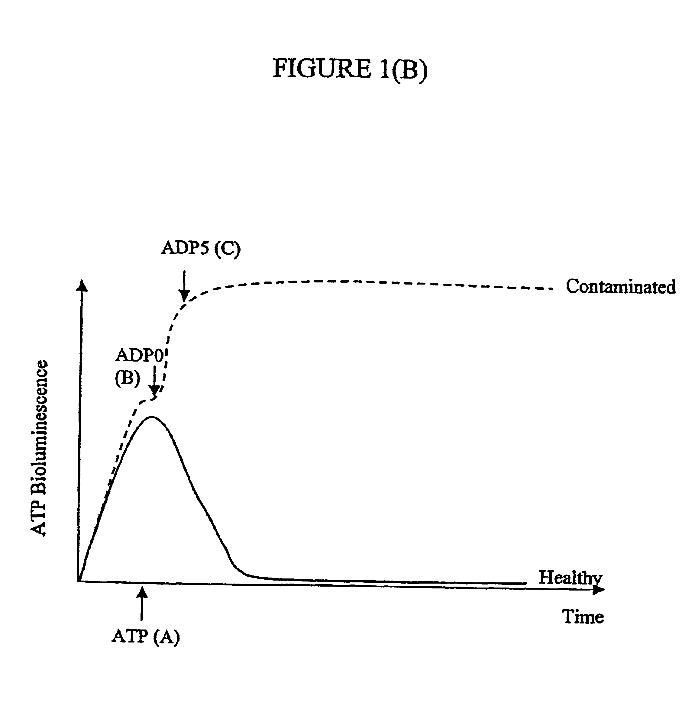 Assay of micro-organisms in cell cultures