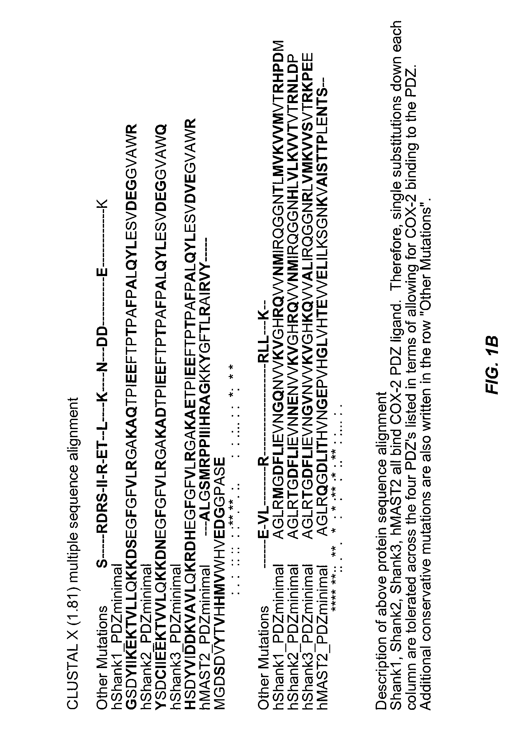 Assays for detecting inhibitors of binding between COX-2 and PDZ proteins