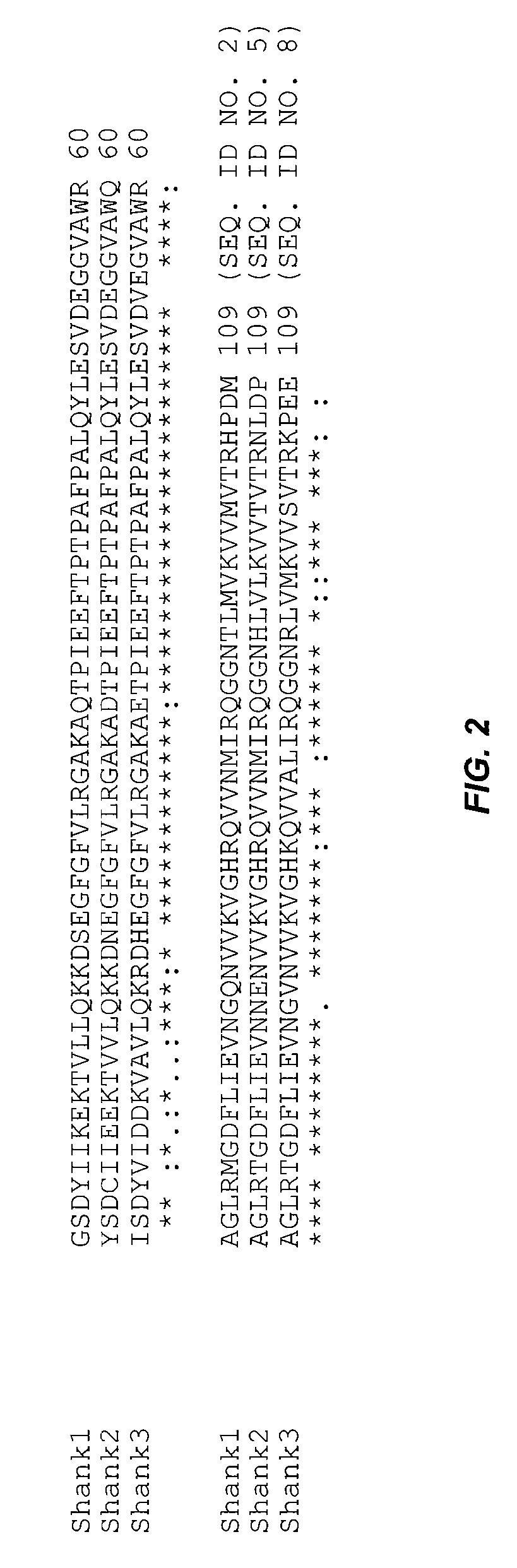 Assays for detecting inhibitors of binding between COX-2 and PDZ proteins